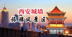 操逼视频欧美中国陕西-西安城墙旅游风景区