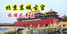 鸡鸡进入骚逼小说中国北京-东城古宫旅游风景区